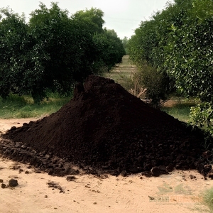 High Quality Fermented Organic Cow Dung Manure Dry Powder Organic Matter Soil Amendment For Commercial Farming - Product Image 2