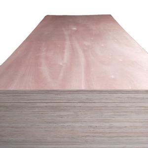 Contreplaqué d'emballage 8-18 mm en acacia/mixte avec placage de pin, de Styrax et de Manglietia pour l'emballage et le mobilier, fabriqué au Vietnam - Product Image 1