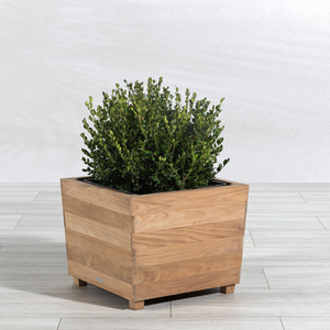 Maceta de madera personalizada para suculentas, maceta decorativa de madera, regalos, maceta de madera para flores, diseño moderno - Product Image 3