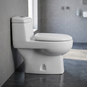 Inodoro moderno de una pieza con sifón cerámico, conjunto completo de WC, artículos sanitarios para exportación al mercado africano - Product Image 1