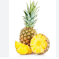Premium verse zoete ananas tropisch fruit groothandel export leverancier uit Bangladesh Six Season Agro Traders