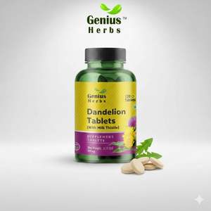 Comprimés de pissenlit naturels à base de plantes, riches en nutriments, extrait séché, vente en gros, expédition mondiale, pack professionnel, directement de l'usine - Product Image 2