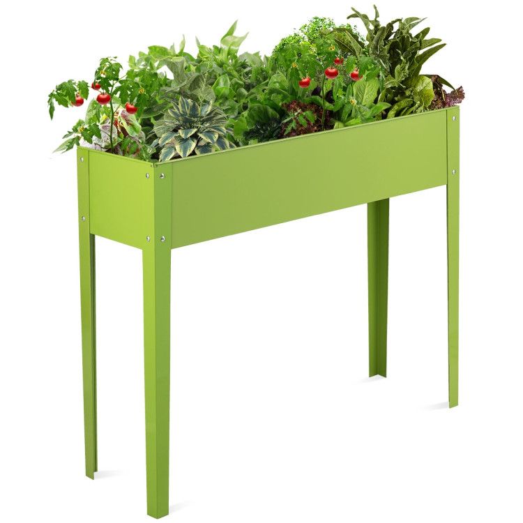 Colore verde frutta