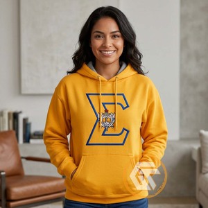 Sweat à capuche personnalisé Sigma Gamma Rho en molleton de coton écologique brodé, idéal pour l'hiver, vêtement grec de haute qualité pour sororité - Product Image 4