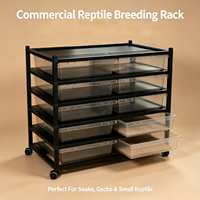 Support robuste pour serpents avec une capacité de charge élevée et des bords arrondis pour un habitat sûr des reptiles et une entretien facile