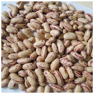 Frijoles de Alta Calidad con Puntos Claros / Frijoles Pinto / Frijoles Azucarados - Product Image 6