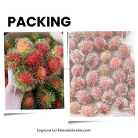100% Vietnamese KME merk IQF diepvries Rambutan, hele gepelde natuurlijke fruitstukjes, wit vlees, 10kg vacuümverpakking