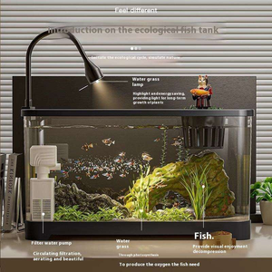 Best Seller Small Luxury Plastic Desktop <b>Fish</b> Tank with Transparent Lid Eco-Friendly 50L Aquarium for Goldfish and Turtle - Product Image 3