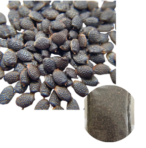 MEJOR OFERTA Semillas de Maracuyá de Fabricación Vietnamita, Estándar Internacional, Paquete al Vacío de 5 kg - Product Image 1