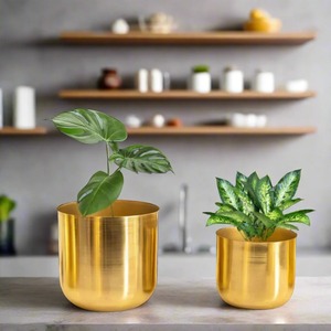 Macetas de Pared al por Mayor para Jardines Verticales y Decoración que Ahorra Espacio - Product Image 1
