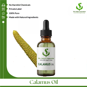 Natural Calamus Essential Oil Exporter Providing Premium Bulk Supply for Cosmetic Manufacturers Personal Care Brands Fragrance - Product Image 1