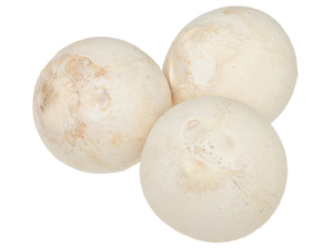 Coco Fresco Joven Pelado de Origen Vietnamita con Agua Dulce Natural - Product Image 5