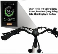 Vélo de montagne électrique avec moteur central BAFANG, pneus de 26*3 pouces, batterie 48V20AH, freins à disque hydrauliques doubles, cadre en alliage de lithium