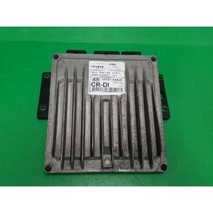 ECUs y Módulos de Computación Usados de Carnival 391014X820 - Product Image 1
