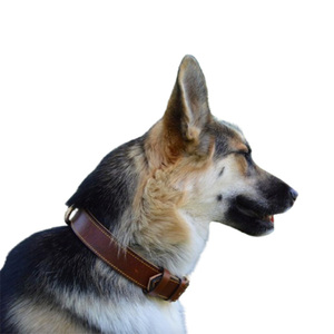 Collier pour chien en cuir véritable de haute qualité, personnalisé, design professionnel, style luxueux avec logo personnalisé - Product Image 5