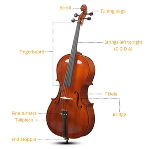 Cello 4/4 professionnellement fabriqué avec table en épicéa et dos/côtés en érable à motif tigre # # # # Couleur naturelle # # # # Cordes de pont en résine avec nœud de sac - Product Image 5