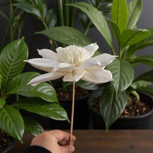 زهرة سولا خشبية مصنوعة يدويًا مستوحاة من زهرة الداليا، مقاس 15 سم، كبيرة الحجم، مصنوعة من ألياف نبات السيسبانيا - Product Image 5