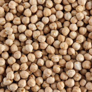 Chana Kabuli Orgánica Entera Natural de Gujarat, 24 Meses de Duración, para Mercados Internacionales - Product Image 6