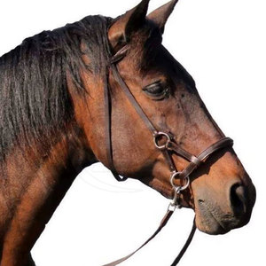 SAVOR STAR IMPEX Bridon d'entraînement pour cheval, fabriqué en cuir de haute qualité, design à ajustement sécurisé, couleurs personnalisables, confortable - Product Image 2