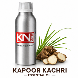 Industrial Supplier Kapoor Kachri <b>Essential</b> <b>Oil</b> 100% Pure Organic Certified Hedychium Spicatum Bulk Manufacturer Global Exporter - Product Image 1