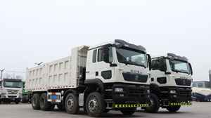 Camión Volquete Diésel Howo 8x4 Euro 2, 10 Ruedas, 11-20T de Carga, Volante a la Izquierda, Cámara Trasera, 251-350HP, 6-8L - Product Image 2