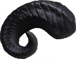 Soporte de Cuerno de Carnero Salvaje - Product Image 3