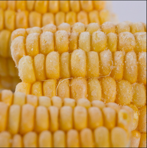Maïs sucré cuit surgelé en bâtonnets et morceaux, emballé sous vide, sans OGM, croustillant, durée de conservation de 24 mois - Product Image 3
