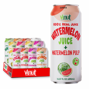 Vietnam 490ml Variedad de bebidas de jugo de frutas y verduras con pulpa sin azúcar OEM/ODM Etiqueta privada Precio de fábrica - Product Image 1