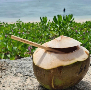 Pailles en bambou naturel écologiques réutilisables, pailles à boire faites à la main, alternative biodégradable au plastique pour les acheteurs mondiaux, personnalisables - Product Image 1