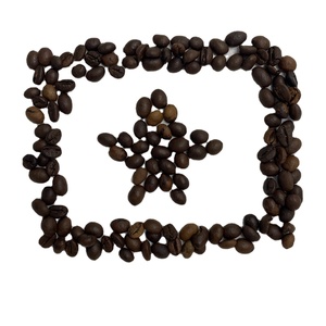 Mélange de grains de café du Vietnam de haute qualité 80% Robusta et 20% Arabica Green Process OEM pris en charge l'approvisionnement en vrac - Product Image 4
