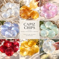 Coquilles de Capiz Naturelles Brutes en Gros, Coquilles d'Huître en Forme de Panneau de Fenêtre pour Artisanat, Bricolage, Décoration de Mariage, Bijoux, Décoration Intérieure