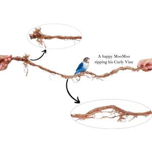 ของตกแต่งตู้ปลาแบบเถาวัลย์หยิกเป็นมิตรกับสิ่งแวดล้อม ดีไซน์สวยงามสำหรับตู้ปลาและตู้เลี้ยงสัตว์น้ำ - Product Image 3