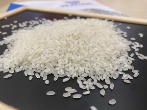 Top Grade Calrose Rice 5% Broken Medium <b>Grain</b> High Quality from Vietnam - Pey - Product Image 2