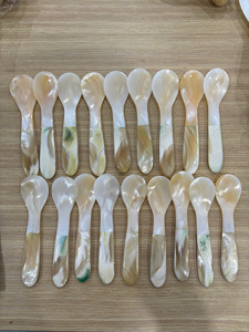 Cuillère artisanale en coquillage à finition naturelle pour décoration sur le thème côtier et approvisionnement commercial - Product Image 5