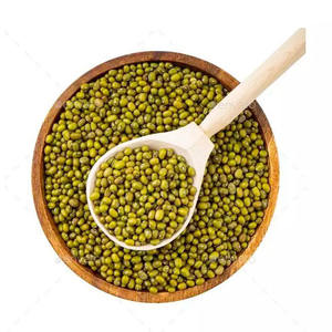 Proveedor mundial de frijoles mung verdes para supermercados, procesadores de alimentos, productores de brotes y empresas de alimentos saludables - Product Image 4
