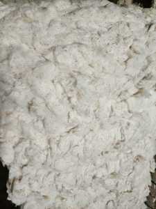 Hilo de Algodón Peinado 100% Hilado en Anillo 38s, Absorbente de Humedad, Ecológico, Antibacteriano, Antipilling, Textil Crudo - Product Image 3