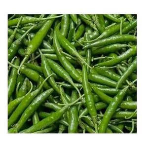 Chile Verde Fresco Premium para Cocinar Platos Picantes |   Suministro al por Mayor de Chiles de Calidad de Exportación de la India, Cosecha 2026 - Product Image 1