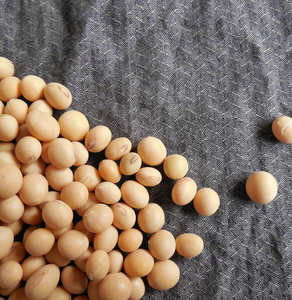 100% <b>Soybeans</b> 50kg PP Bag Unprocessed Pure Oil Extraction Bulk Farming Cooperative 12 Months Shelf Life Food Cheap price - Product Image 5