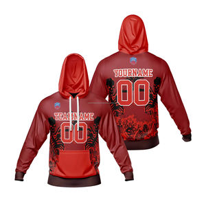 Sweat à capuche en coton biologique durable, polyester recyclé écologique, pull personnalisé, vêtements écologiques, vente en gros, sweat à capuche vierge - Product Image 1