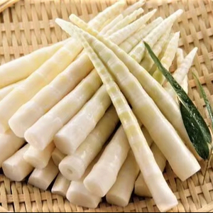 Brotes de bambú enlatados enteros de Vietnam nueva cosecha a granel al por mayor frescos envasados listos para servir - Product Image 4