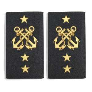 Epaulettes de Caballero Templario Bordadas a Mano en Poliéster con Trabajo de Bullion para Abrigo de Gala, Personalizables - Product Image 3