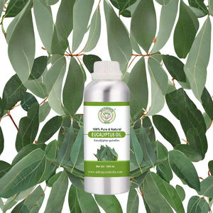 Fabricant d'huiles essentielles naturelles OEM d'huile essentielle d'eucalyptus globulus de marque privée - Product Image 2