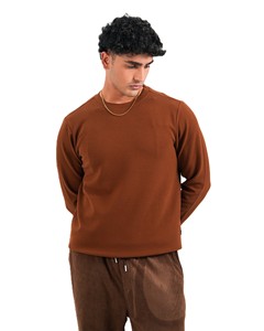 Sudadera de Cuello Redondo para Hombre, Color Marrón, Corte Regular, Tejido de Poliéster, Ropa Casual de Invierno, ELYSIAN INDUSTRIES, Colorblock - Product Image 5