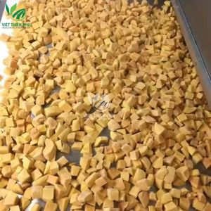 Mango Congelado IQF de Alta Calidad – Envasado al Vacío – Directo de Fábrica en Vietnam - Product Image 2