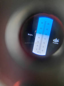 Café Vert Arabica Catimor d'Origine Vietnamienne Méthode Semi-Wash Miel Tamis 16 Qualité Spéciale - Product Image 5