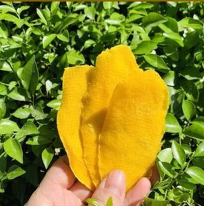 Rodajas de Mango Deshidratado SUNRISE, 0.5 kg a Granel, 0.2 cm de Grosor, Proceso FD, Snack de Fruta Tropical Naturalmente Dulce, Vietnam - Product Image 4