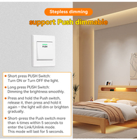 Contrôleur LED 2-en-1 12V-24V RF2.4G 30M avec prise en charge de la télécommande et de l'application