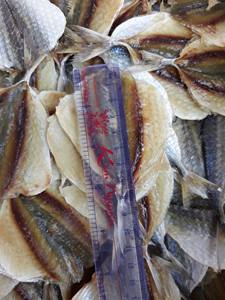 Délicieux poisson séché salé à rayures jaunes, idéal pour les amateurs de cuisine asiatique et les importateurs de snacks gourmands à l'échelle mondiale. - Product Image 2