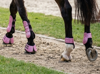 Protector de Tendones para Caballo, de Tela Brillante Rosa, con Neopreno Elástico, Color Personalizado, Ligero y Acolchado