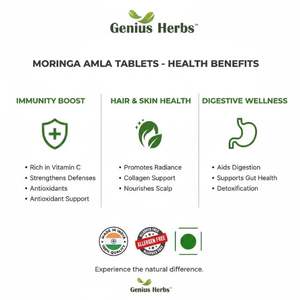 Comprimés de Moringa Amla 500 mg – Feuille de Moringa naturelle, Groseille indienne, Bonbons pressés, Pilules à base de plantes haute puissance, Vente en gros - Product Image 5
